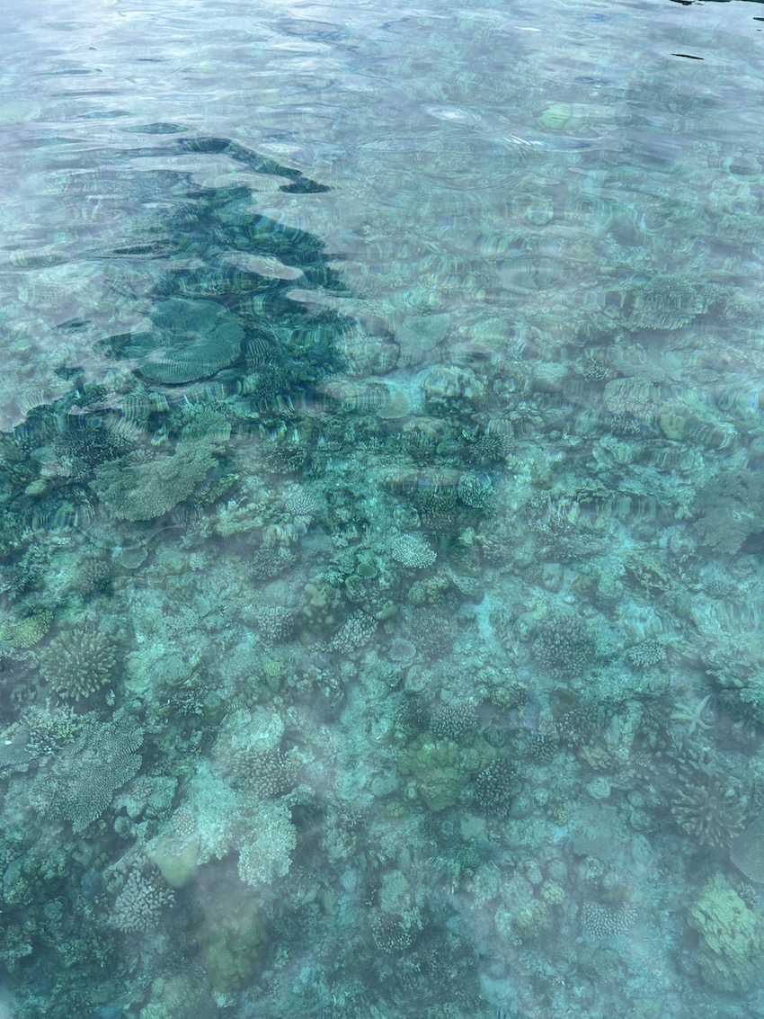 阿嘉島⑩.JPG