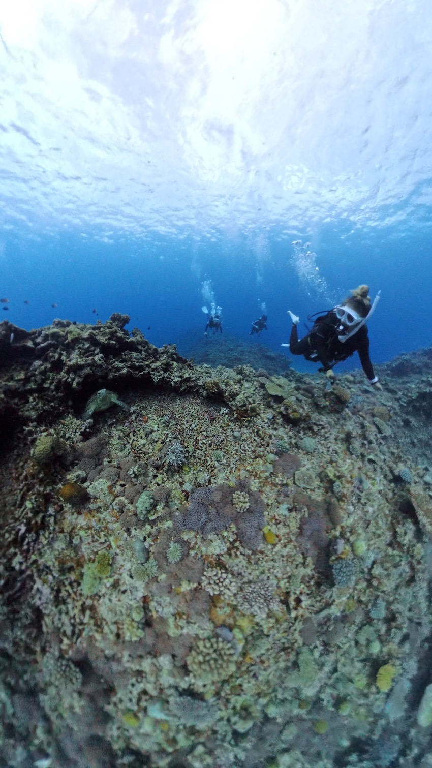 阿嘉島12.JPG