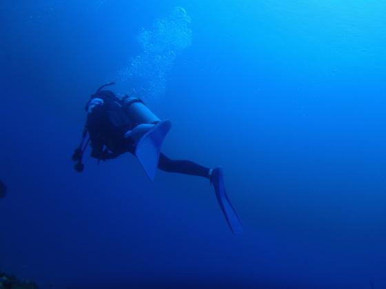 海底にて中性浮力を学ぶ