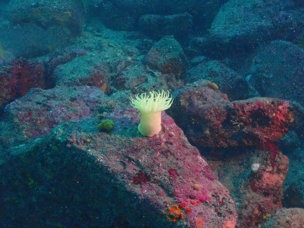 P6150001.JPG