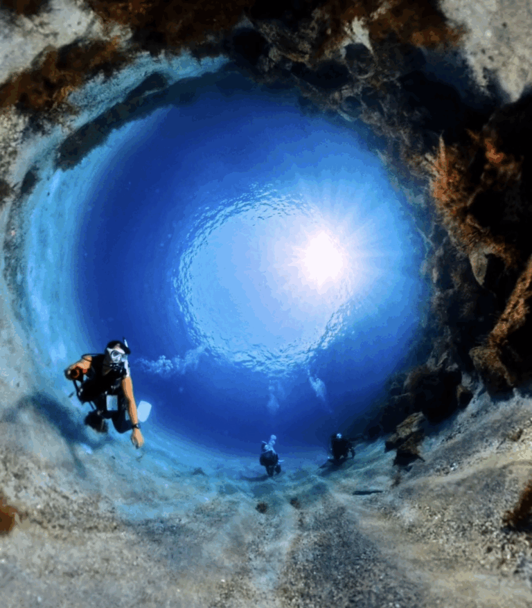 今年はひきつよ！！！透明度抜群な日本海！！！