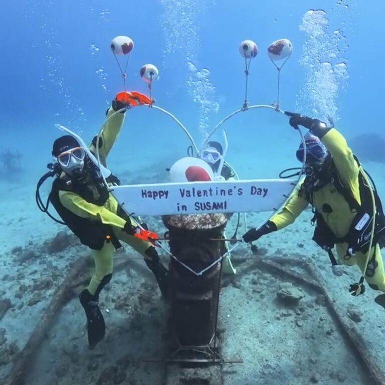 冬のダイビング☆2月も元気に潜ってます！！