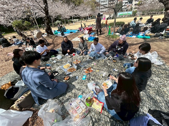 🌸SORAお花見🌸今年もやりますよ〜！