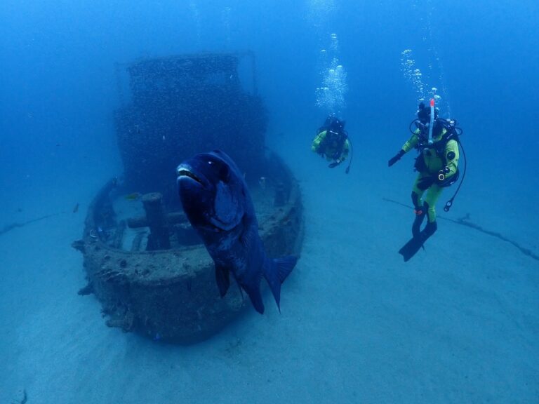 ダイビング初心者必見｜大阪でライセンス取得前によくある質問まとめ