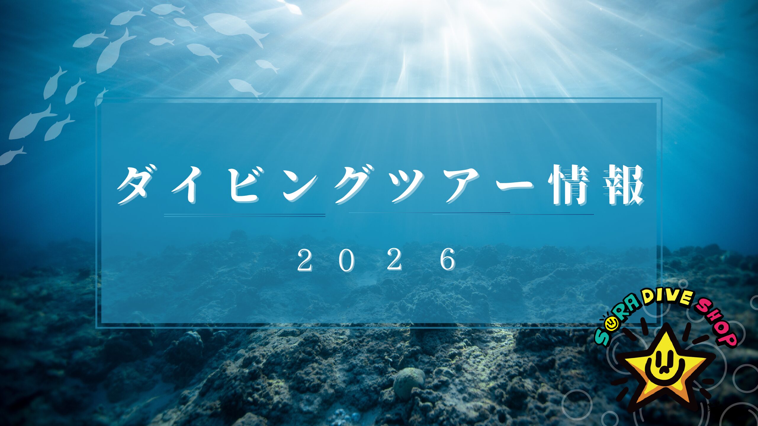 海に感謝のファンダイブ🌏🌊